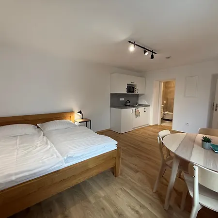 Apartment Skolni 60