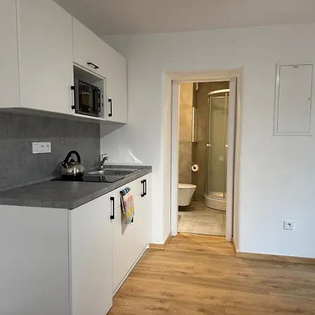Skolni 60 Apartment Pelhrimov